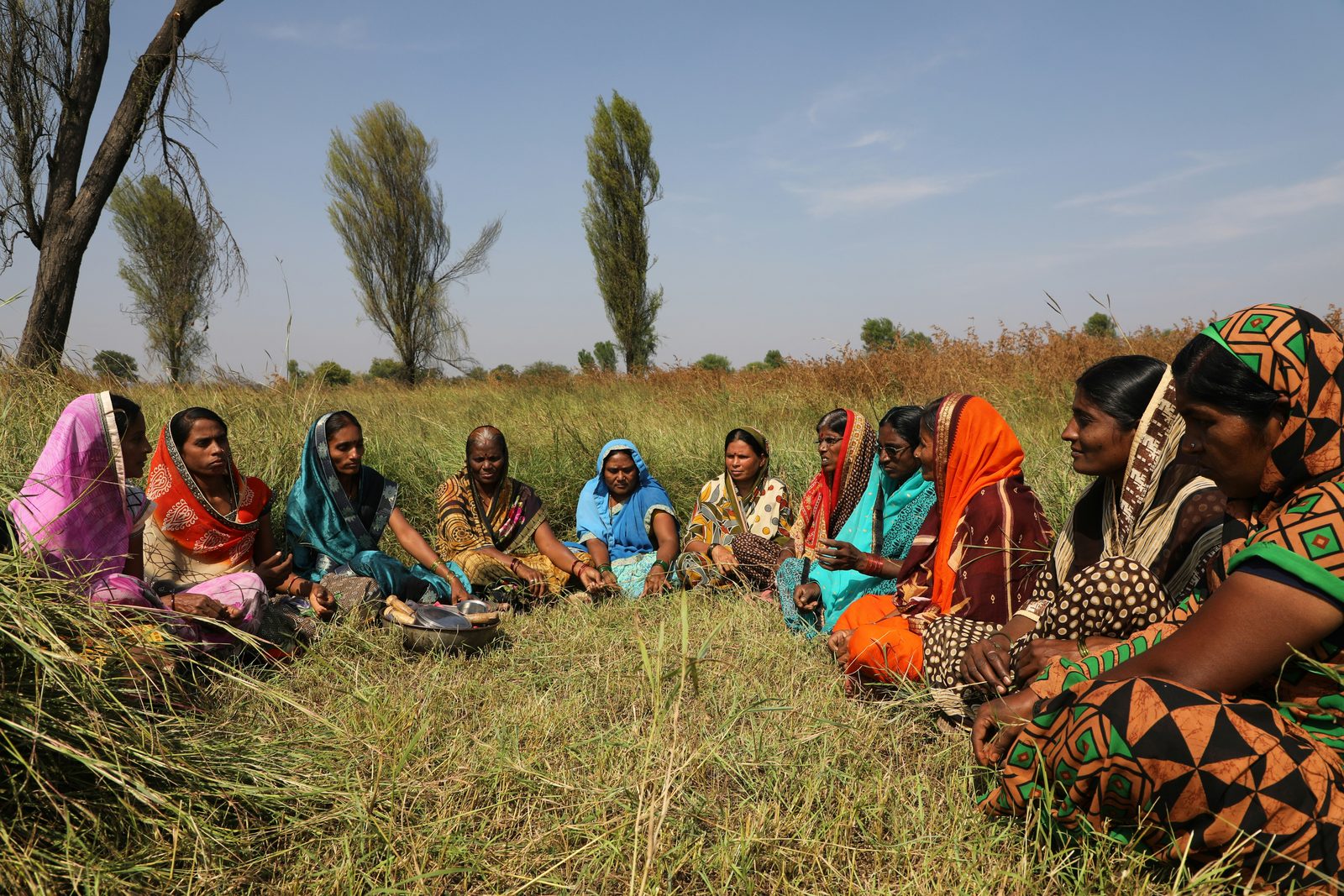 Crop-Protection Field Day